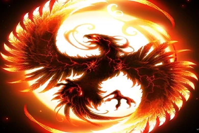 Dragon Wallpapers Hd