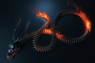 Zipper Dragon Wallpapers (4430)   Wallpaperesque