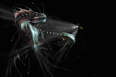 Windows 8 Desktop Wallpapers 3D Fantasy Space Dragon 2560X1600 ...