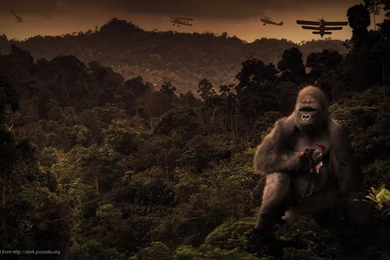 Lost Everything Alternative King Kong Wallpapers From Dark Wallpapers