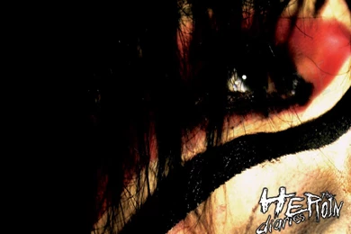 Motley Crue   BANDSWALLPAPERS