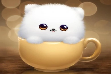 Cute Wallpaper: Cute Photo Wallpapers Wallpapers HD Desktop   From ...