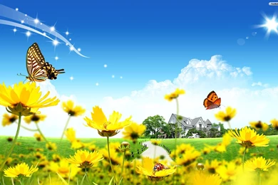 House, Wallpaper, Cool, Country, Papel (