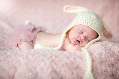 Beanie, Baby, Sleeping, Newborn, Animal Fur, Lovely, Picture