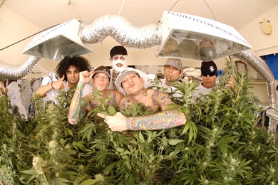 KOTTONMOUTH KINGS Rap Rapper Hip Hop Marijuana Drugs 420 Wallpapers ...