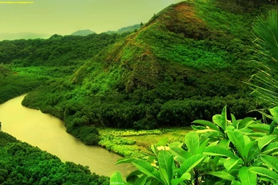 Hd nature fine wallpapers for android phones free download.jpg