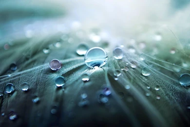 Download Free Live Wallpaper: Download Free Wallpapers For Android ...