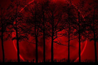 Wallpapers Dark Nature Red Moon Free Uimages Org 2560x1920 ...