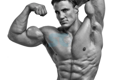 Search Results: 'Greg Plitt'