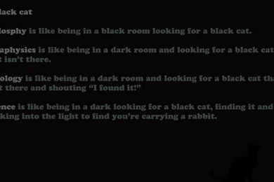 Black Cat (1366x768) : Wallpapers