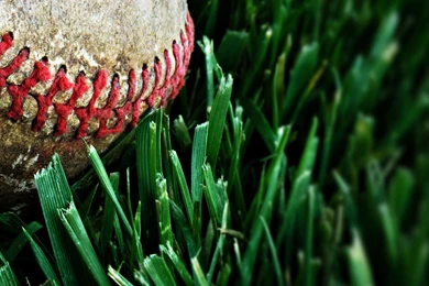 Sports HQ Wallpapers And Pictures