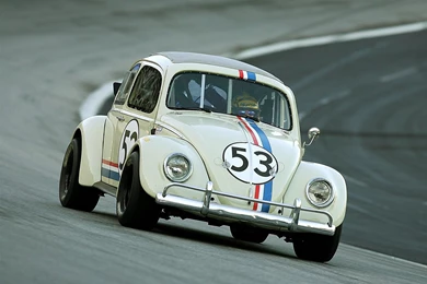 Herbie