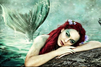 Mermaid Wallpapers HD
