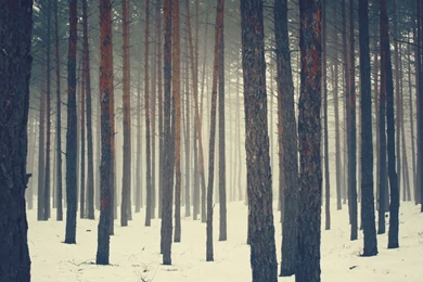 Cool Sweden Wallpapers : Wallpapers