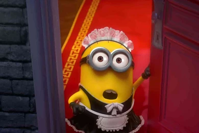 216 Despicable Me 2 HD Wallpapers