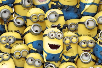 Despicable Me iPad Wallpapers And iPad 2 Wallpapers