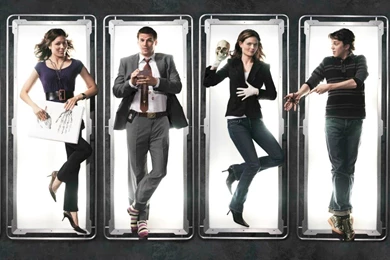 Bones Wallpapers   Bones Wallpapers (30636136)   Fanpop