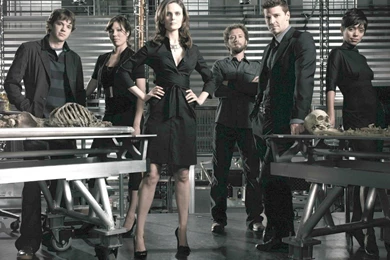 Bones Wallpapers   Bones Wallpapers (30636124)   Fanpop