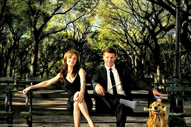 Bones Wallpapers   Bones Wallpapers (30636213)   Fanpop