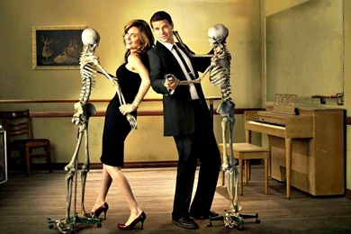 Bones Wallpapers   Bones Wallpapers (30636198)   Fanpop