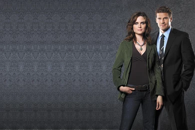 Bones Computer Wallpapers, Desktop Backgrounds