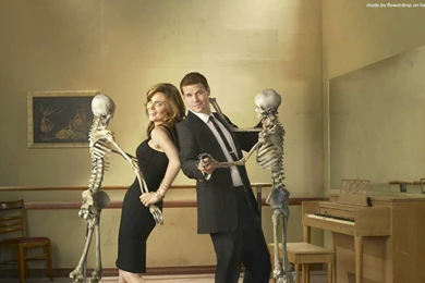 Bones Wallpapers   Bones Wallpapers (30636199)   Fanpop