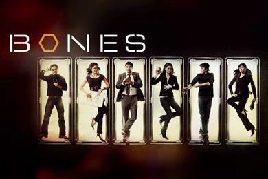 Bones Cast   Bones Wallpapers (1481843)   Fanpop