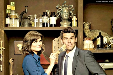 Bones Wallpapers   Bones Wallpapers (30636366)   Fanpop