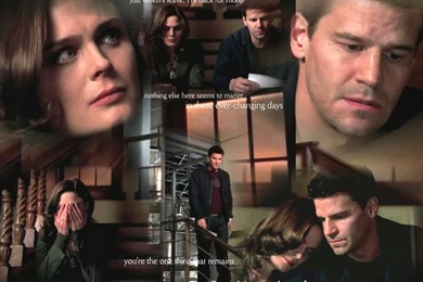 BB Art Wallpapers   Booth And Bones Wallpapers (3216463)   Fanpop