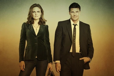 Bones   Bones Wallpapers (16540087)   Fanpop