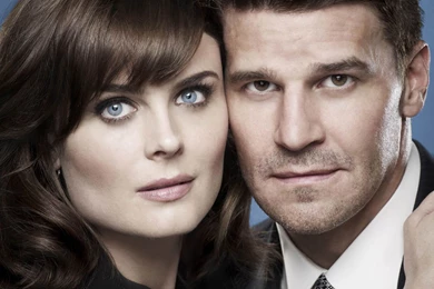 Bones   Bones Wallpapers (36002476)   Fanpop