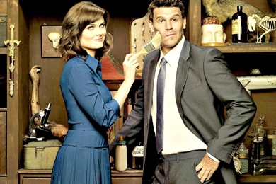 Bones Wallpapers   Bones Wallpapers (30636368)   Fanpop