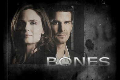 Bones   Bones Wallpapers (7882856)   Fanpop