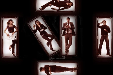 Bones'   Bones Wallpapers (4835932)   Fanpop