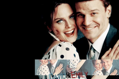 Upfront 2008   Booth And Bones Wallpapers (1501172)   Fanpop