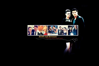 Bones   Bones Wallpapers (1287562)   Fanpop