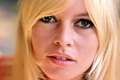 Brigitte Bardot Photo, Pics, Wallpapers   Photo