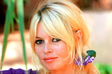 Wallpapers Brigitte Bardot Celebrities Image