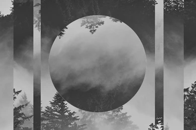 I Don't Know If You Guys Still Like These [iPhone 5] : IWallpapers