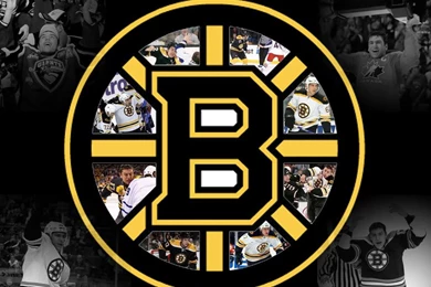Vwvortex Com Boston Bruins Championship Gear Wallpapers 1024×768 ...