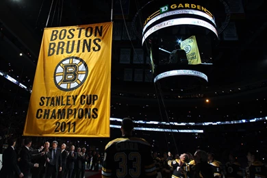 Boston Bruins Backgrounds   Wallpapers Zone