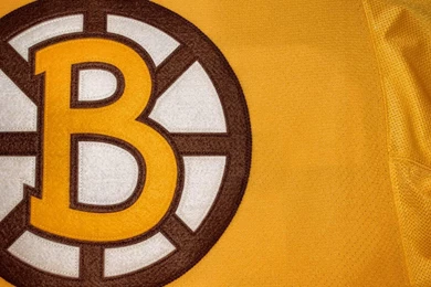 Enjoy Our Wallpapers Of The Week Boston Bruins Boston Bruins