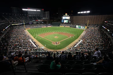 Olympic Swimming Pool Lane