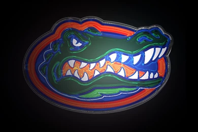 RePin Image: Florida Gator Head Logo On Pinterest