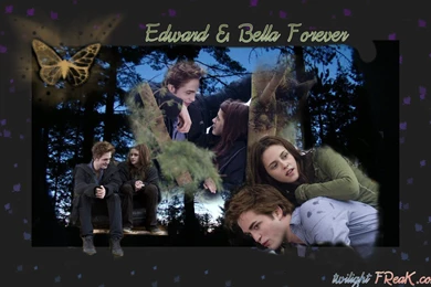 Mega Twilight Wallpapers Bella Edward Tree FREE Wallpapers ...