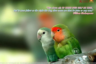 Fact Quotation Wallpapers, Quote Computer Wallpapers, Fact ...