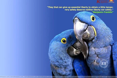 Fact Quotation Wallpapers, Famous Quotes & Fact Quotations ...