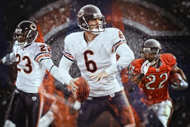Chicago Bears Field Backgrounds