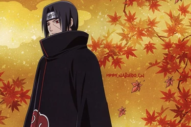 Naruto New Wallpapers   Wallpapers Cave