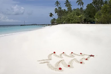 Tropical Christmas Wallpapers